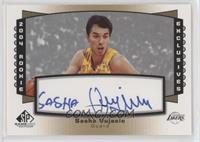 Sasha Vujacic #/100