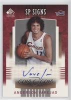 Anderson Varejao #/100