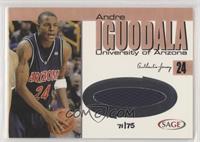 Andre Iguodala #/75