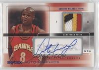 Antoine Walker #/50