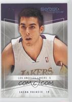 Sasha Vujacic #/750