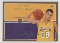 Sasha Vujacic #/50