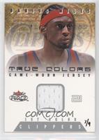 Darius Miles (2001-02 Fleer Force True Colors 1st Color) #/9