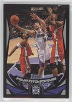 Peja Stojakovic #/500