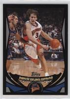 Mike Dunleavy Jr. #/500