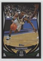 T.J. Ford #/500