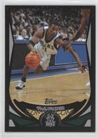 T.J. Ford #/500