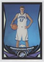 Andrei Kirilenko #/500