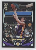 Luke Walton #/500