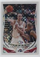 Zydrunas Ilgauskas #/110