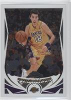 Sasha Vujacic