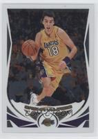 Sasha Vujacic