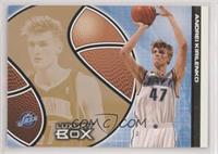 Andrei Kirilenko #/100