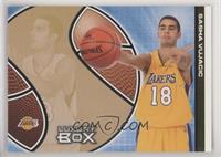 Sasha Vujacic #/100