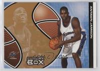 Antawn Jamison #/100