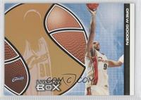 Drew Gooden [Noted] #/100