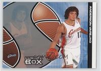 Anderson Varejao #/300