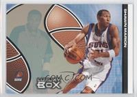 Shawn Marion #/300