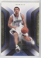 Hedo Turkoglu #/25