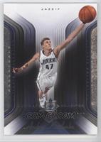 Andrei Kirilenko #/750