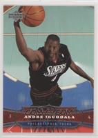 Star Rookie - Andre Iguodala