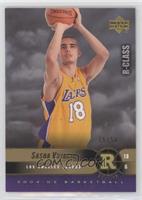 Sasha Vujacic #/50