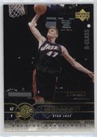 Andrei Kirilenko #/150