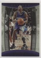 Shawn Marion #/100