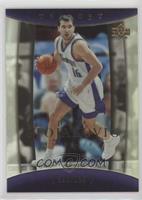 Peja Stojakovic #/100