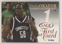 Emeka Okafor #/250