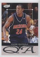 Andre Iguodala