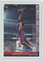 Rasheed Wallace [Good to VG‑EX] #/300