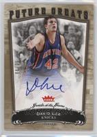 Future Greats - David Lee #/25