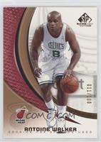 Antoine Walker #/100