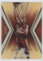 Drew Gooden #/25