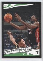 Udonis Haslem #/500