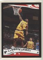 LeBron James #/500