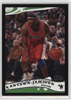 Antawn Jamison #/500