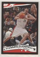 Zydrunas Ilgauskas #/500