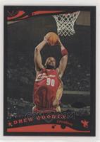 Drew Gooden [EX to NM] #/399