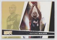 Antoine Walker #/100