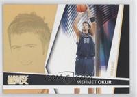 Mehmet Okur #/100