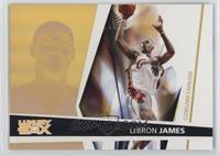 LeBron James #/350