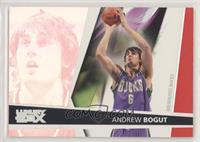 Andrew Bogut