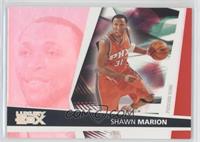 Shawn Marion