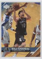 Wally Szczerbiak #/100