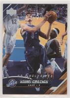 Andrei Kirilenko #/100