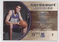 Hardcourt Rookies - Ersan Ilyasova #/1,750