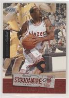 Damon Stoudamire