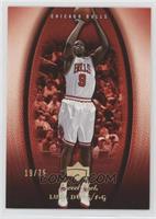 Luol Deng #/75